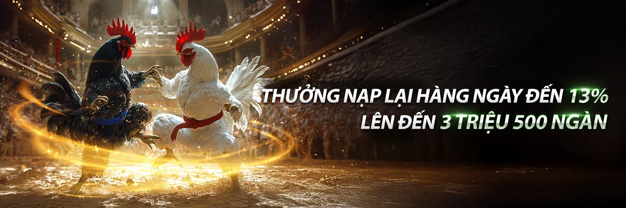 Đá Gà Trực Tuyến 72win