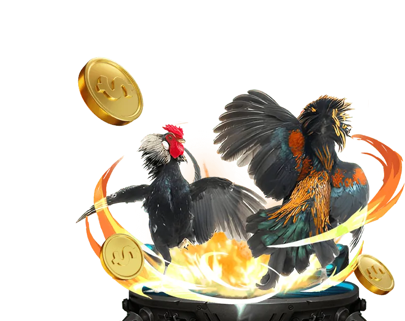 Biểu tượng trò chơi đá gà 72win